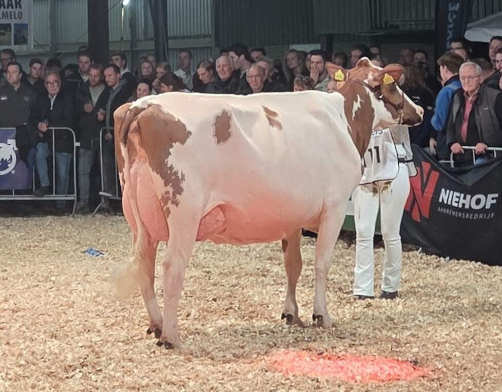 Willie 57 werd uitgeroepen tot algemeen kampioene roodbont.