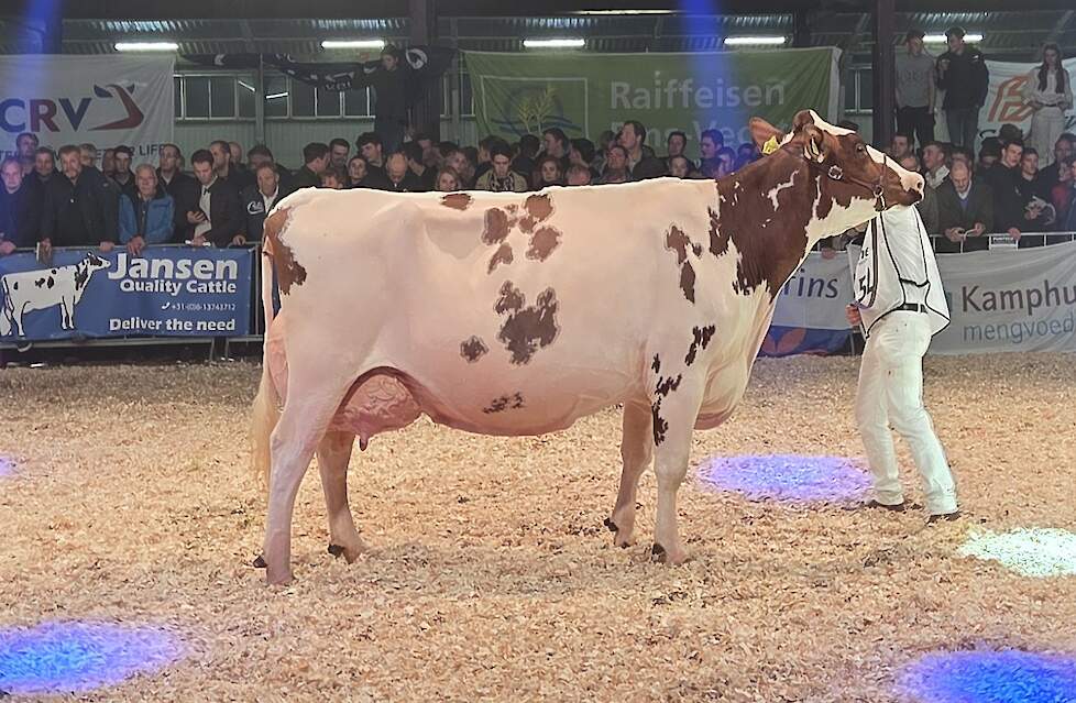 Trillie 171 won de roodbonte productieklasse.