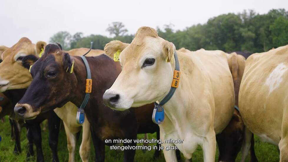 Mark Ormel verlaagde de carbon footprint op zijn bedrijf. Welke maatregelen paste hij toe?