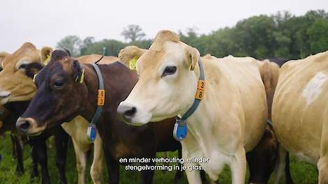 Mark Ormel verlaagde de carbon footprint op zijn bedrijf. Welke maatregelen paste hij toe?