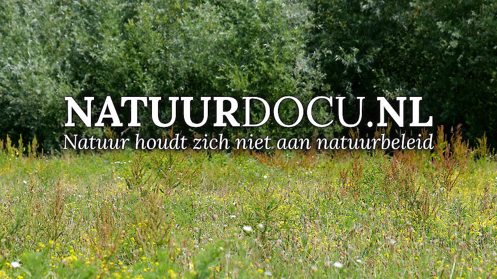 Wat klopt er nog van de natuurcrisis? - NATUURDOCU.NL
