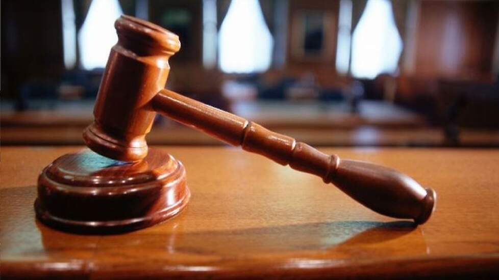 Losser schrapt dwangsommen 'landjepik', maar melkveehouders zijn er niet gerust op