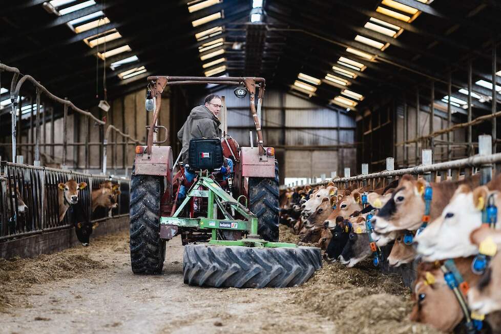 De Jerseykoeien, die bekend staan om laag krachtvoerverbruik en hoge gehaltes, passen Ormel goed.
