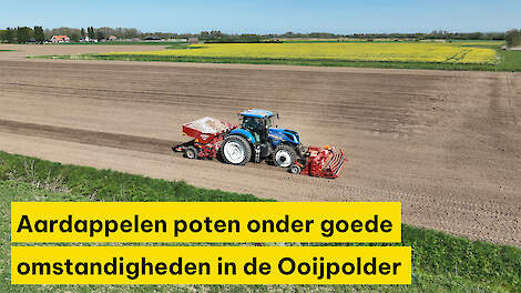 Aardappelen poten onder goede omstandigheden in de Ooijpolder