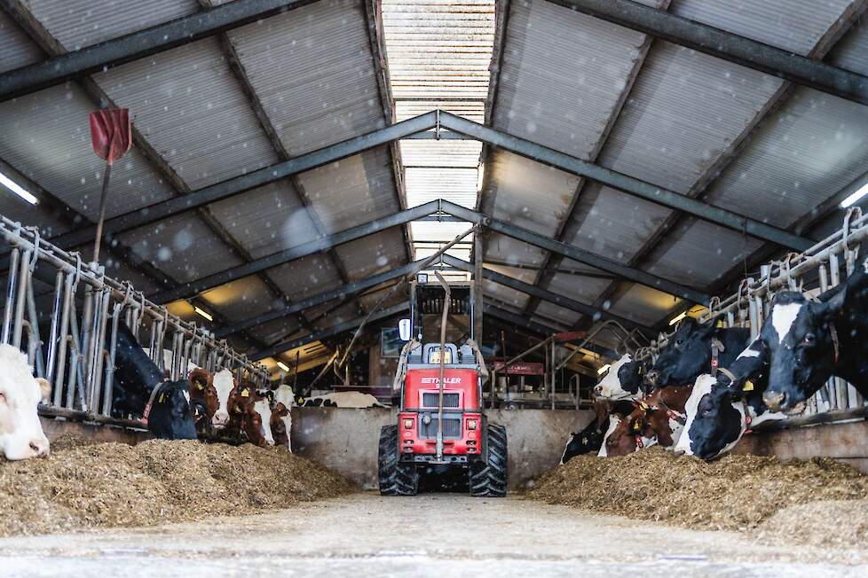 De ruwvoervoorraad is ruim. Op de voergang ligt altijd voer, het streven is 10% restvoer.