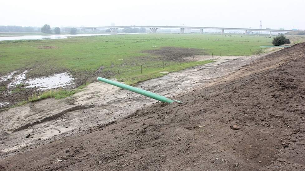 Buizen dwars door de dijken moeten zorgen dat regenwater buitendijks wordt afgevoerd. 'In de winter niet vergeten om de buizen af te doppen. Anders stoomt het rivierwater juist daardoor het erf op', lacht Reijers. Bij deze buis die uit de terp steekt, is