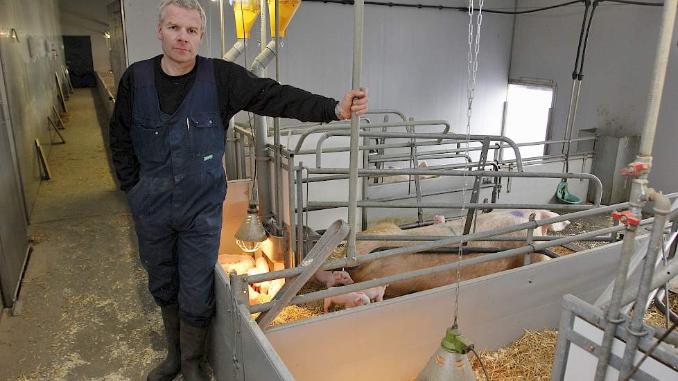 Biologische varkens